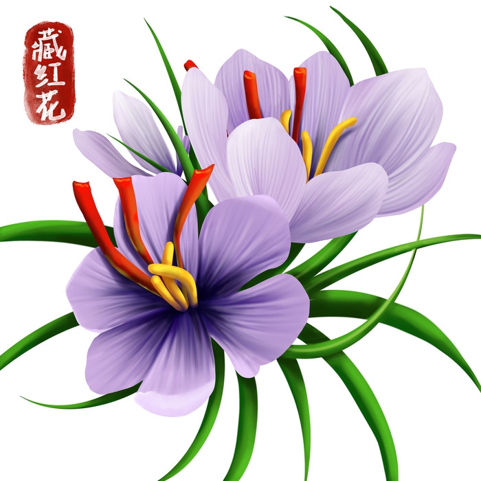 手绘百草植物免抠元素素材8