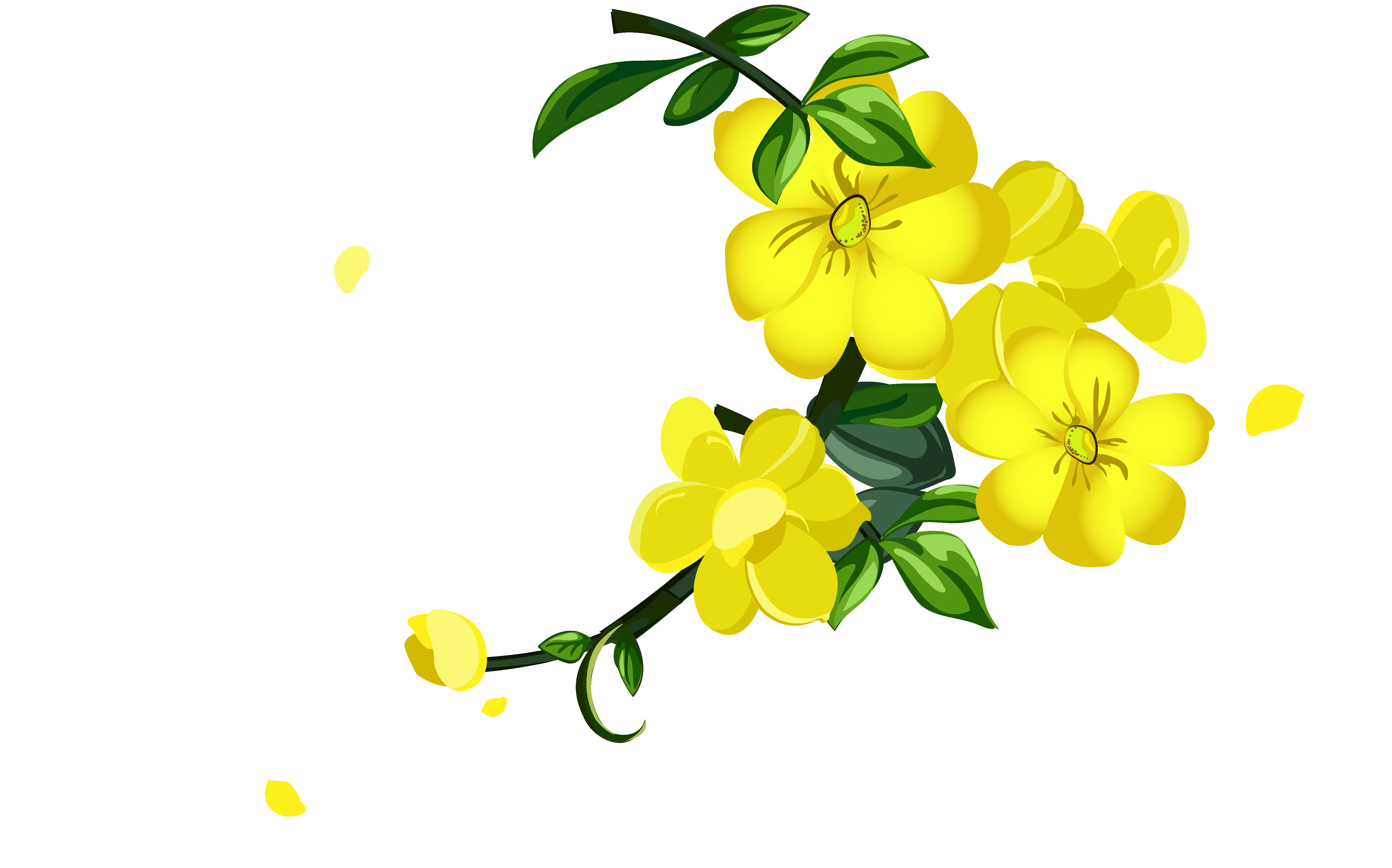 迎春花免抠元素45