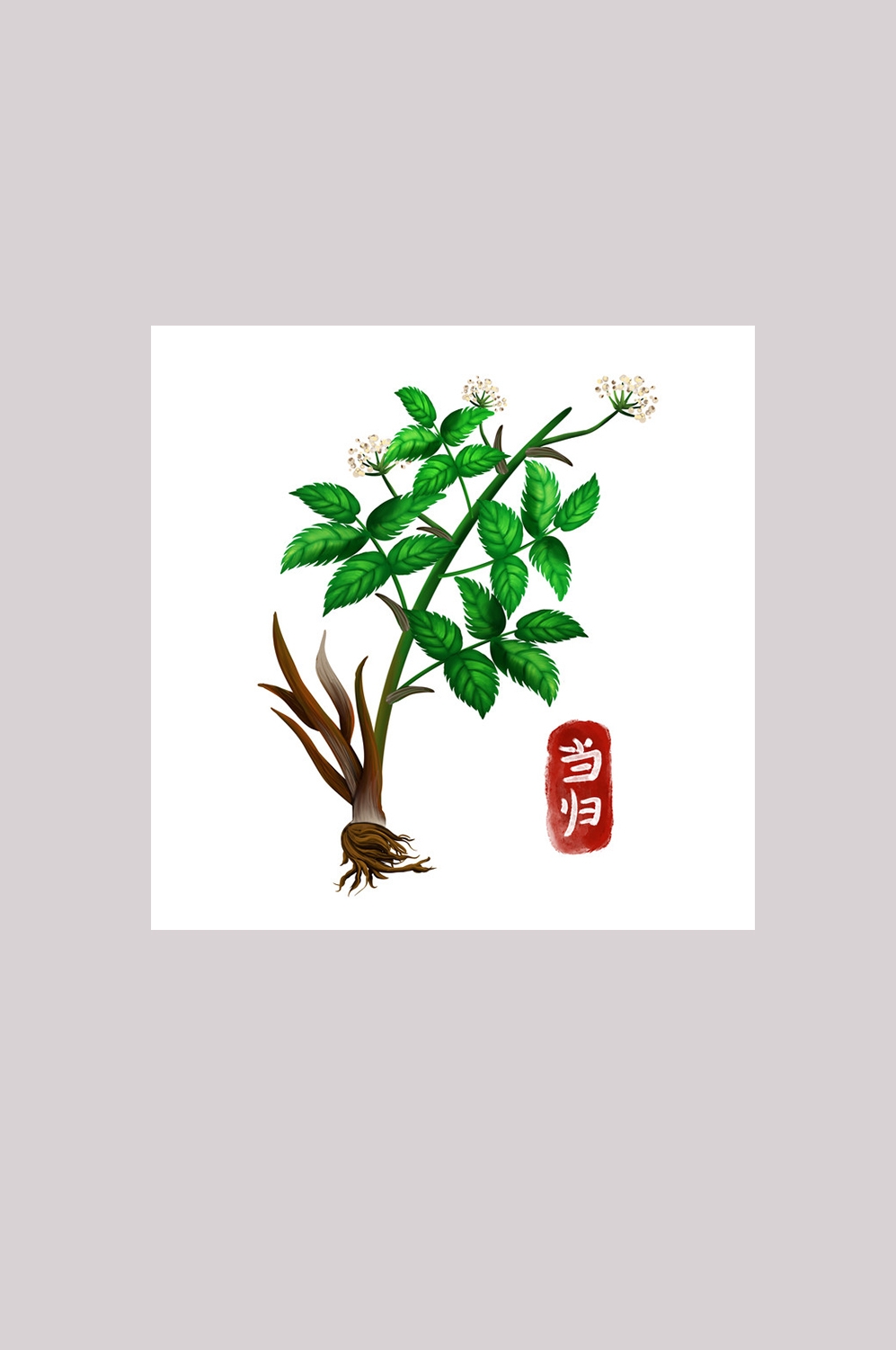 手绘百草植物免抠元素素材35