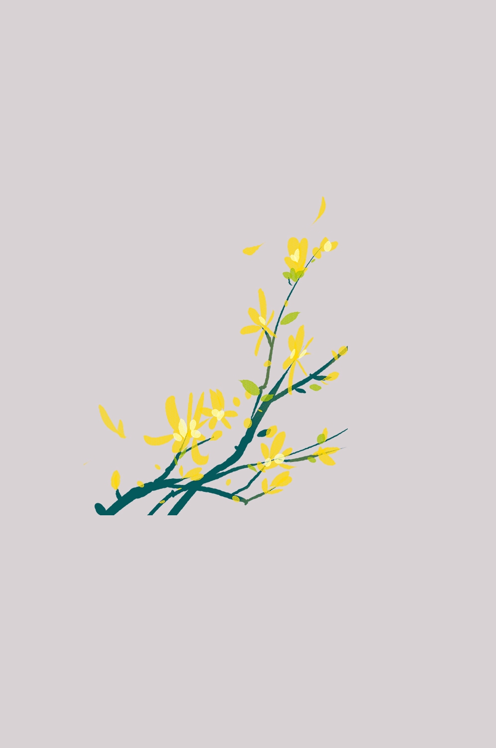 迎春花免抠元素7