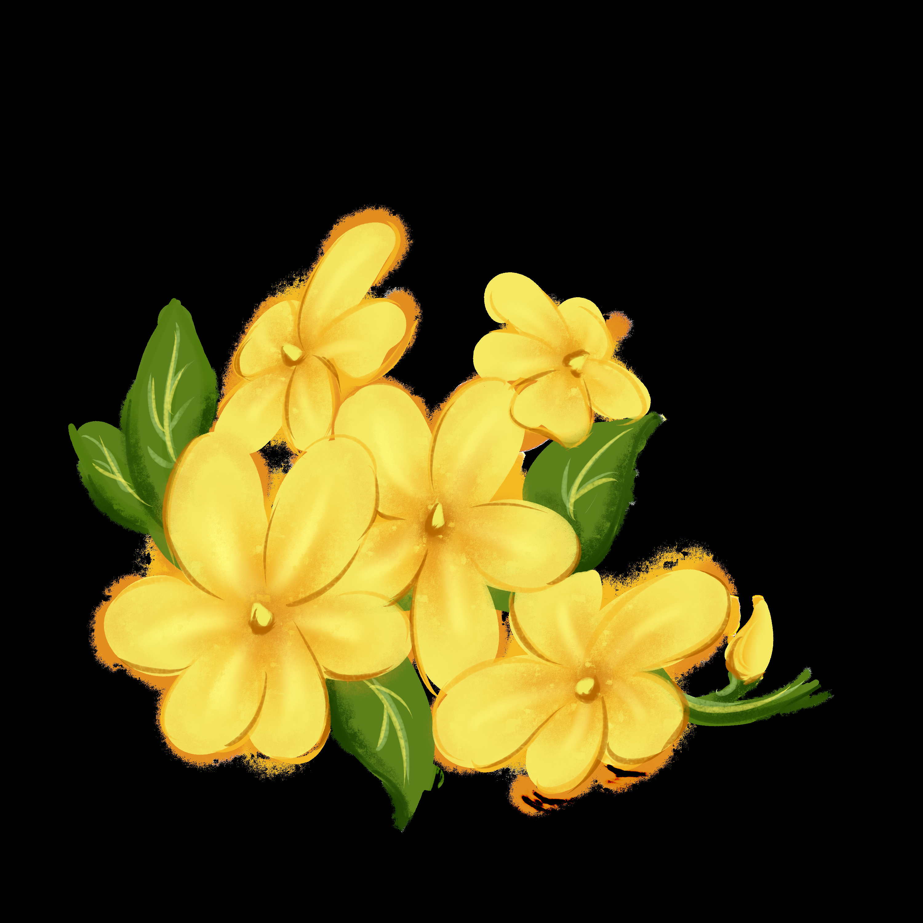 迎春花免抠元素44