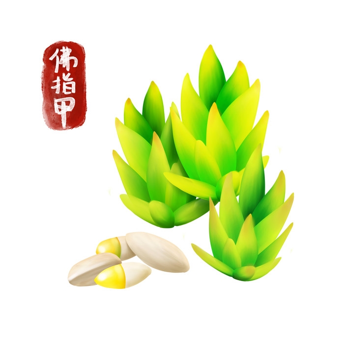 手绘百草植物免抠元素素材87