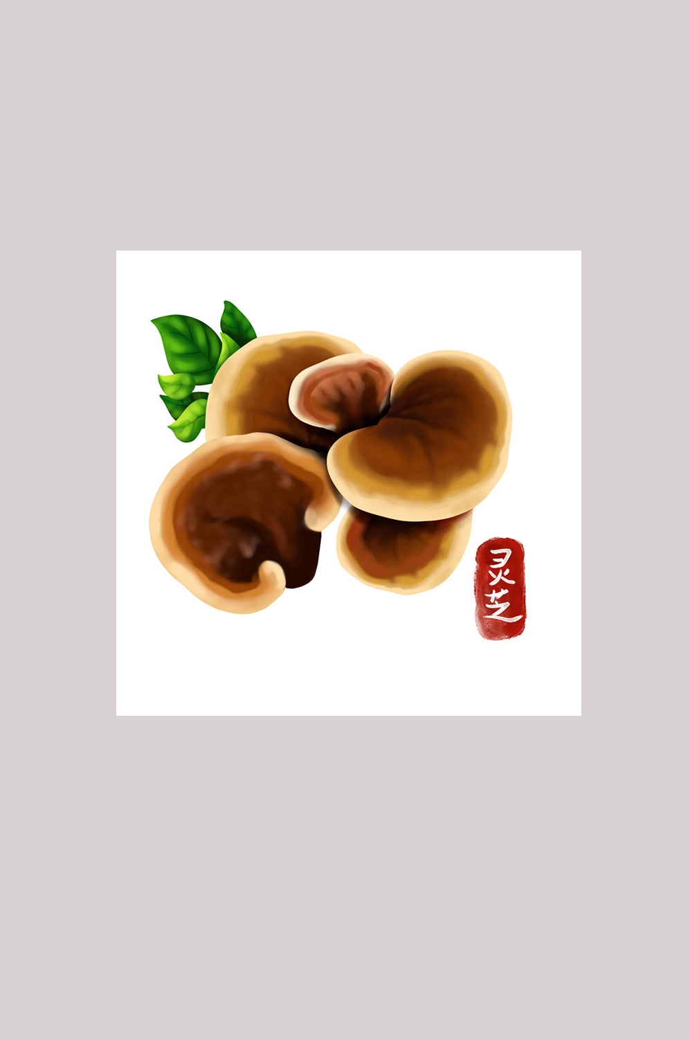 手绘百草植物免抠元素素材6