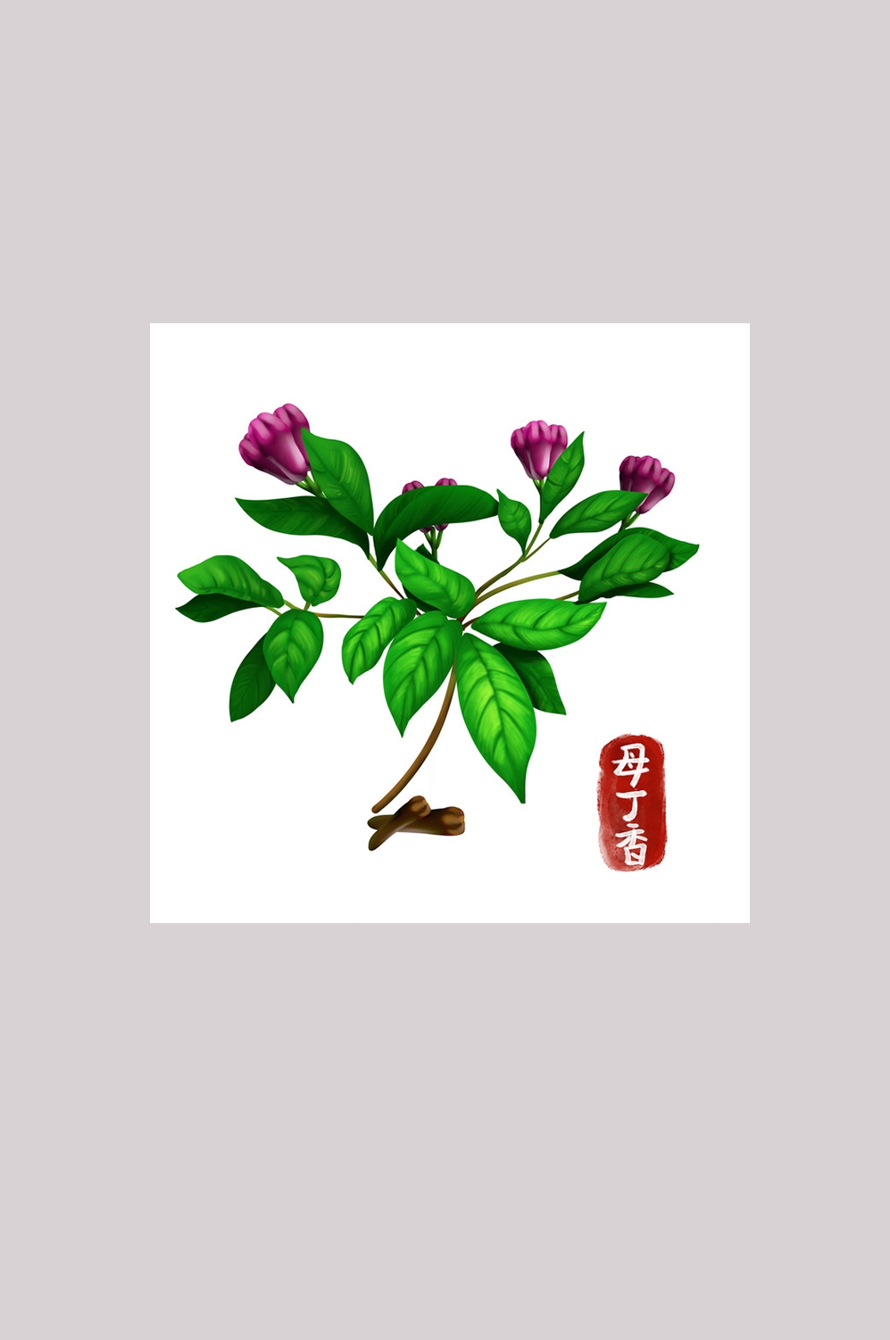 手绘百草植物免抠元素素材78