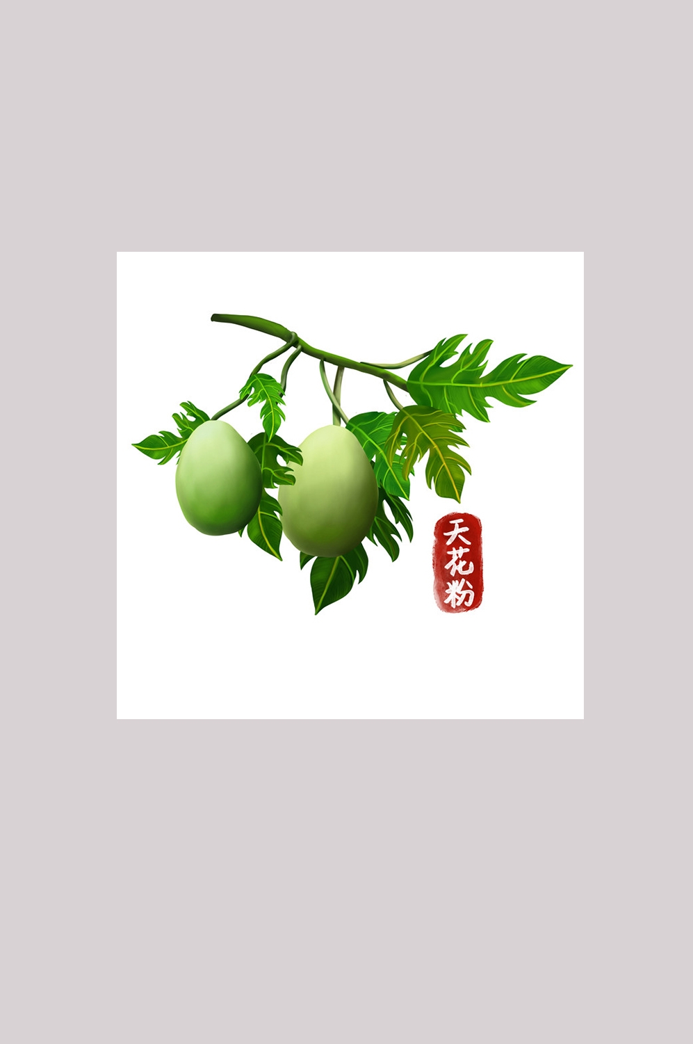 手绘百草植物免抠元素素材13