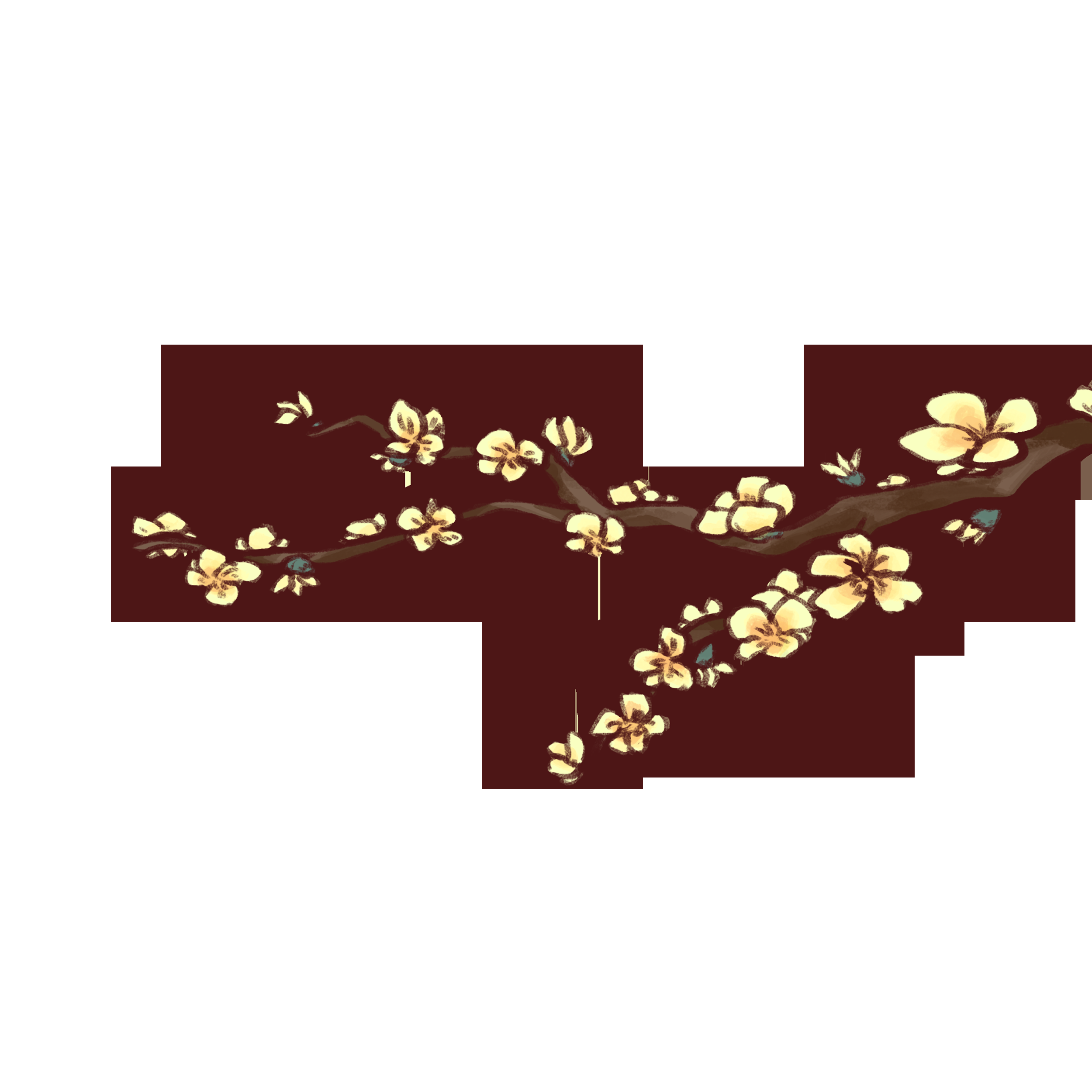迎春花免抠元素37