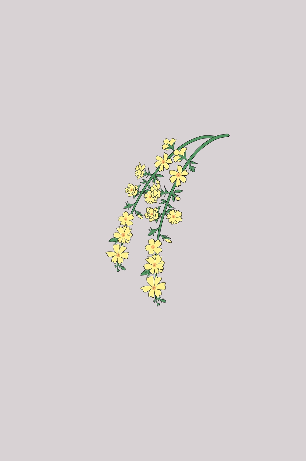 迎春花免抠元素23