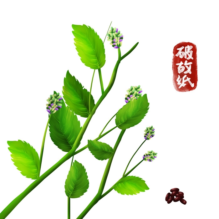 手绘百草植物免抠元素素材85