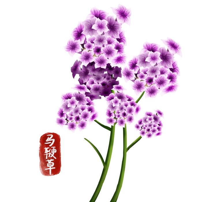 手绘百草植物免抠元素素材17