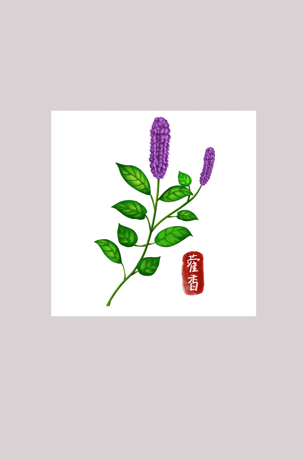 手绘百草植物免抠元素素材5