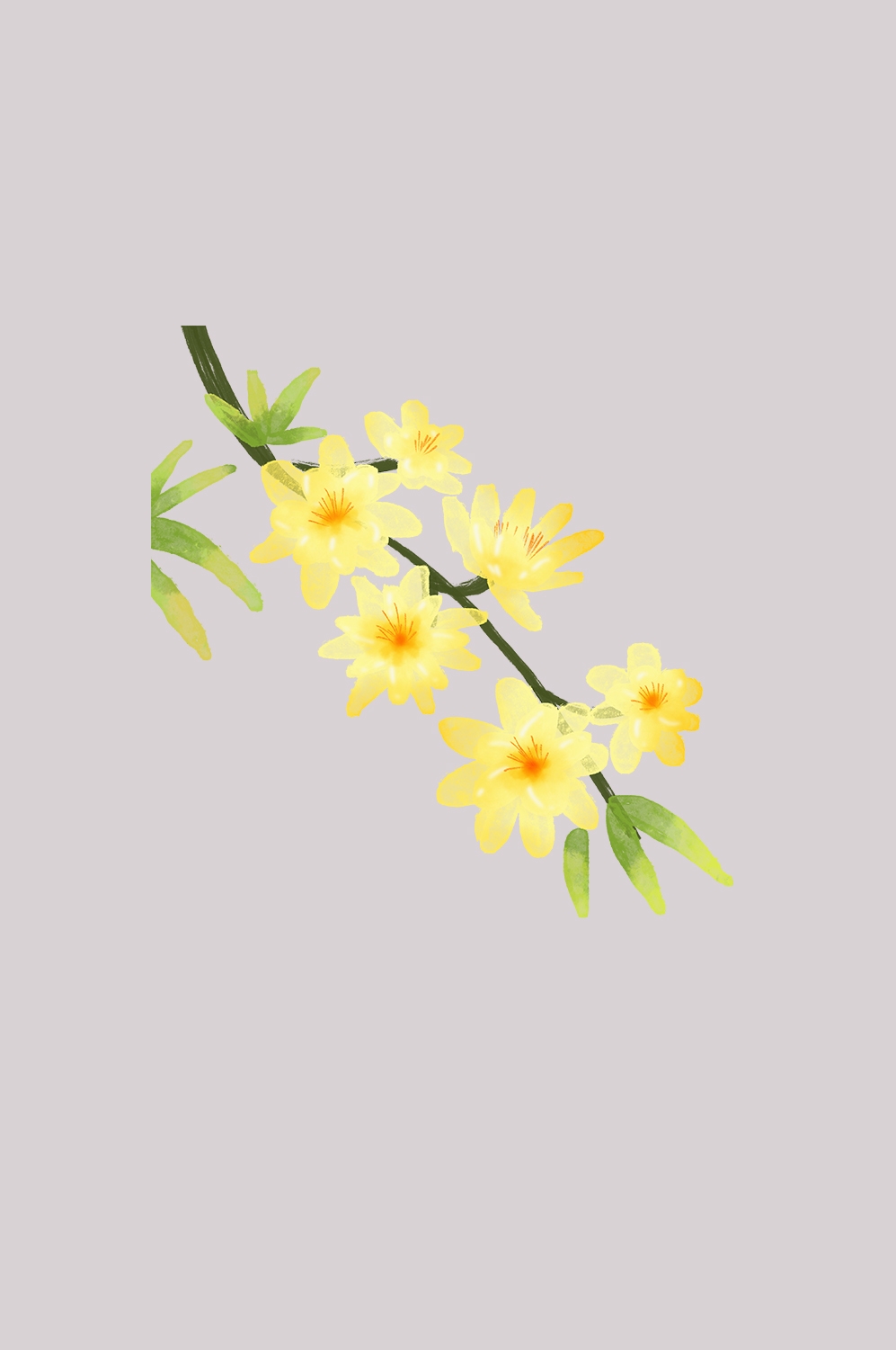 迎春花免抠元素24