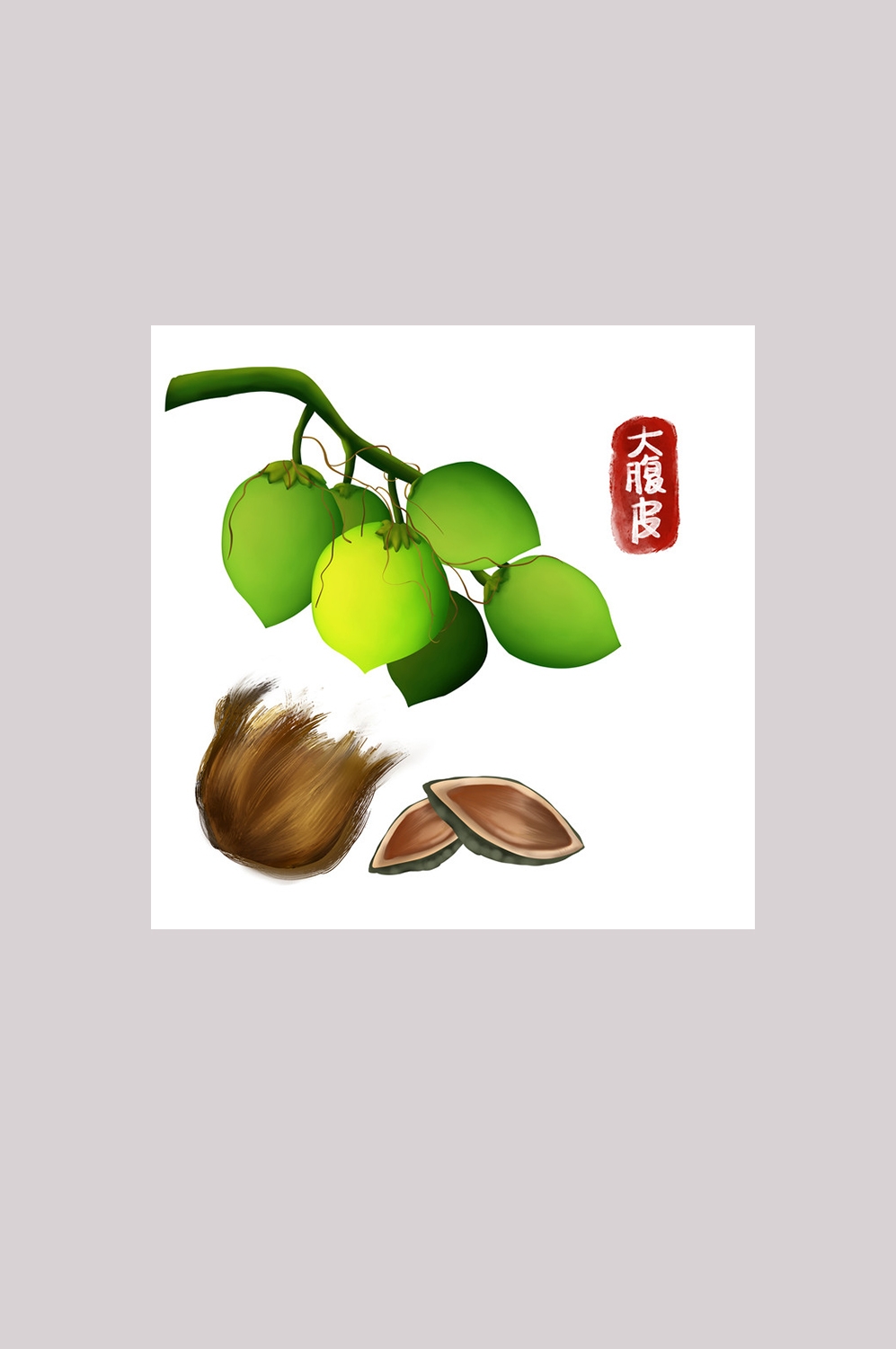 手绘百草植物免抠元素素材64