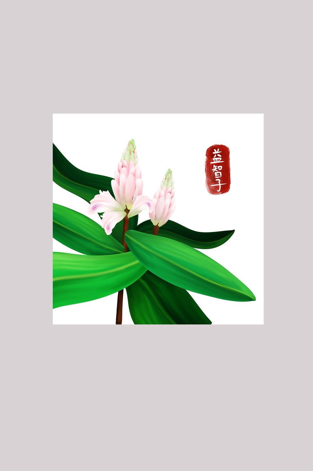 手绘百草植物免抠元素素材63