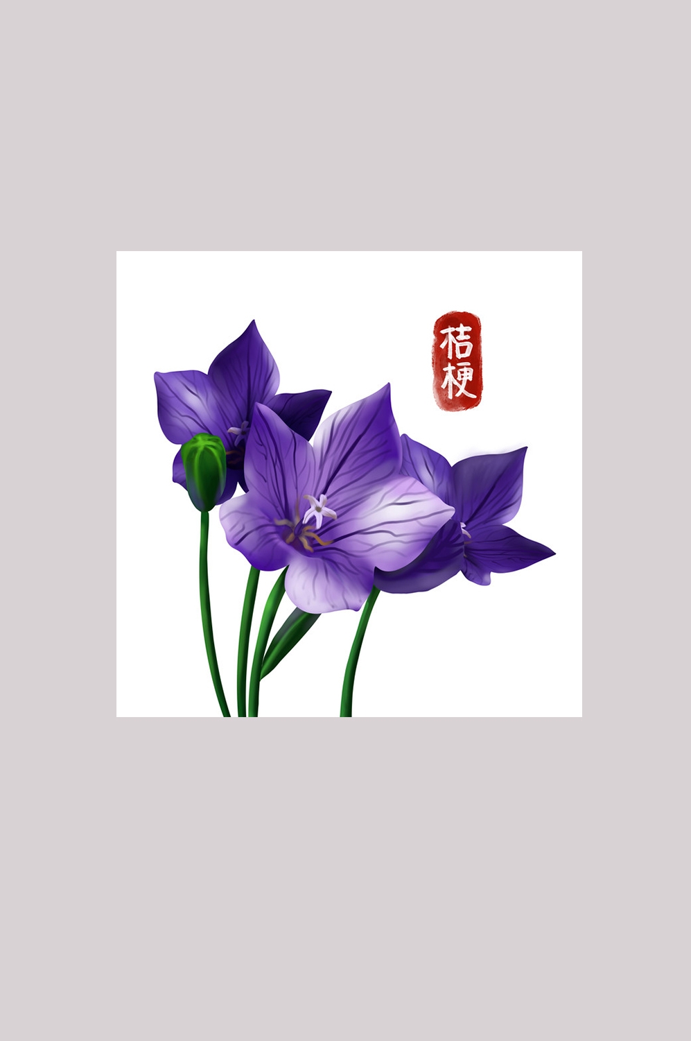 手绘百草植物免抠元素素材21
