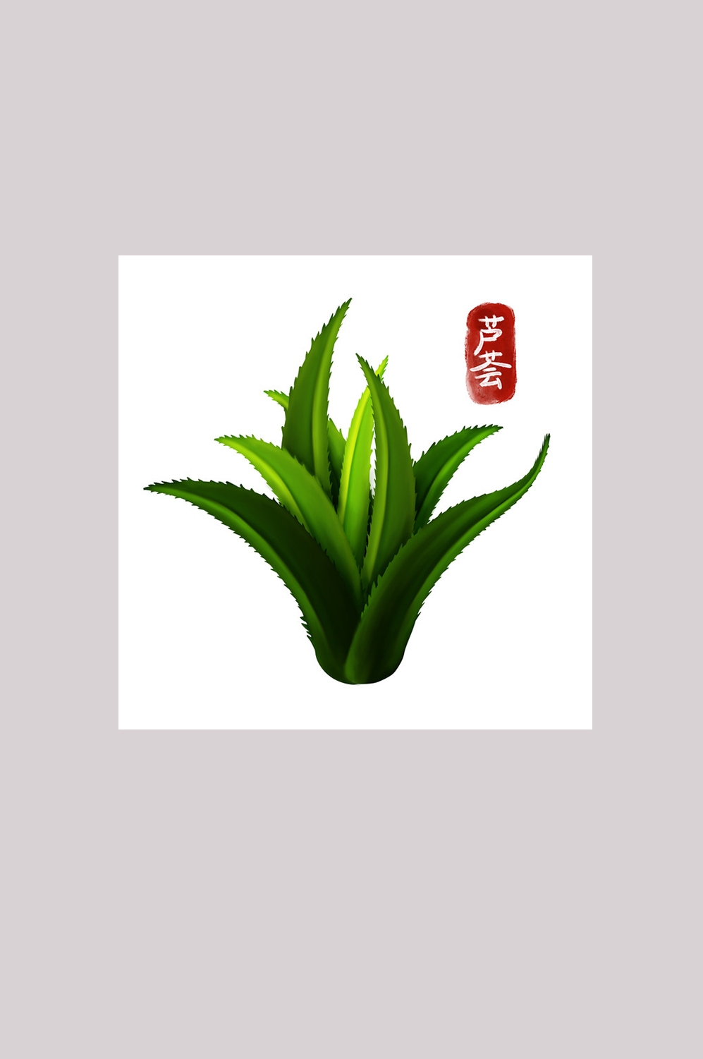 手绘百草植物免抠元素素材20