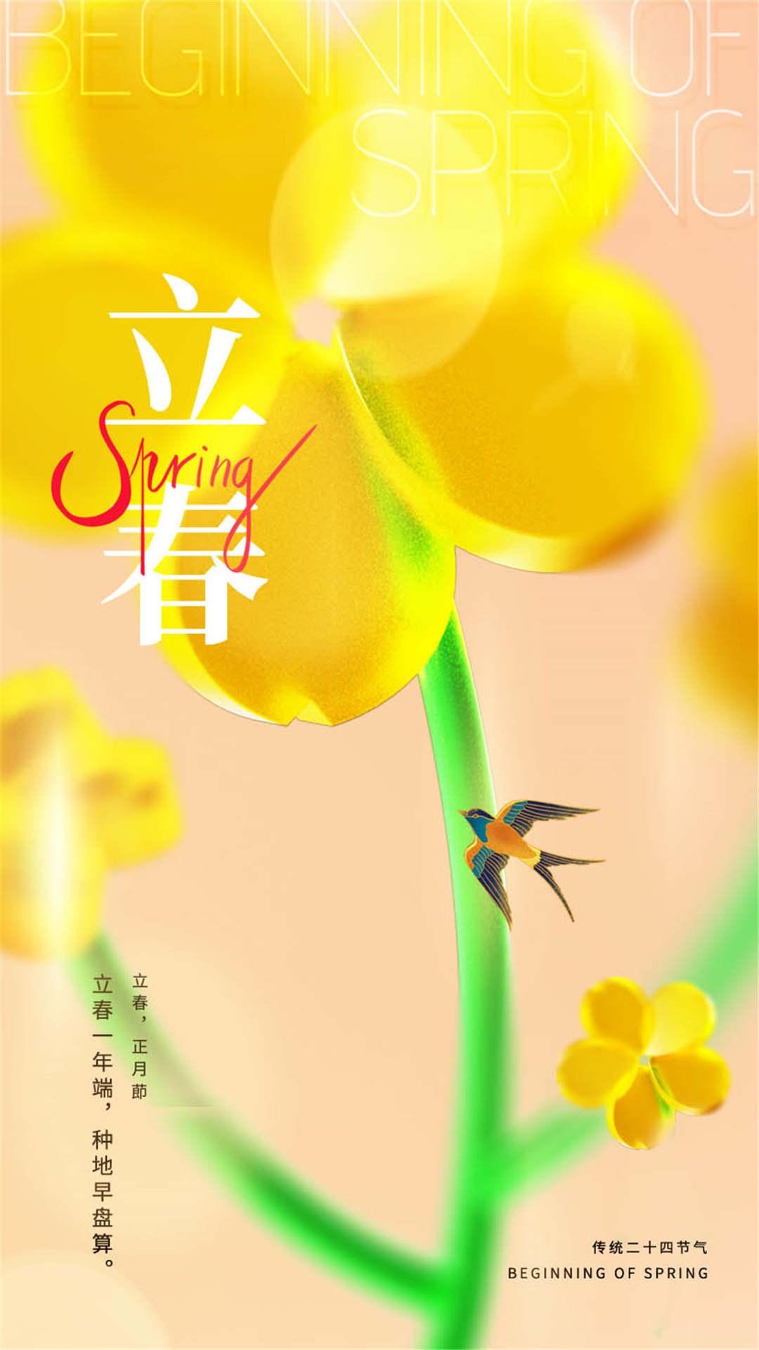 简约创意中国传统节日二十四节气立春海报设计素材81
