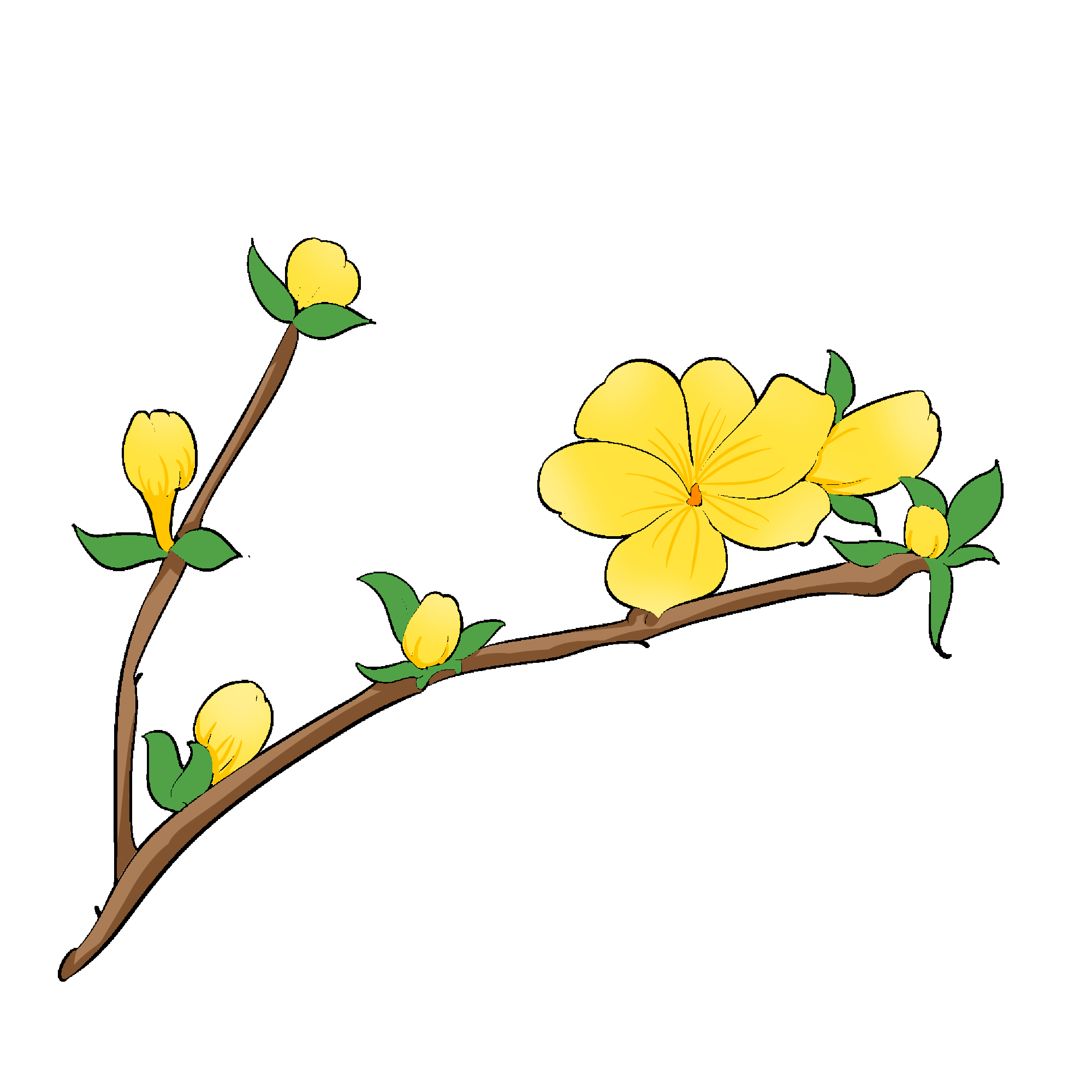 迎春花免抠元素30