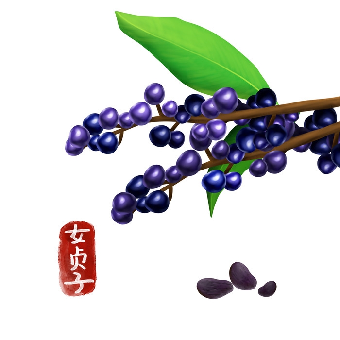 手绘百草植物免抠元素素材58