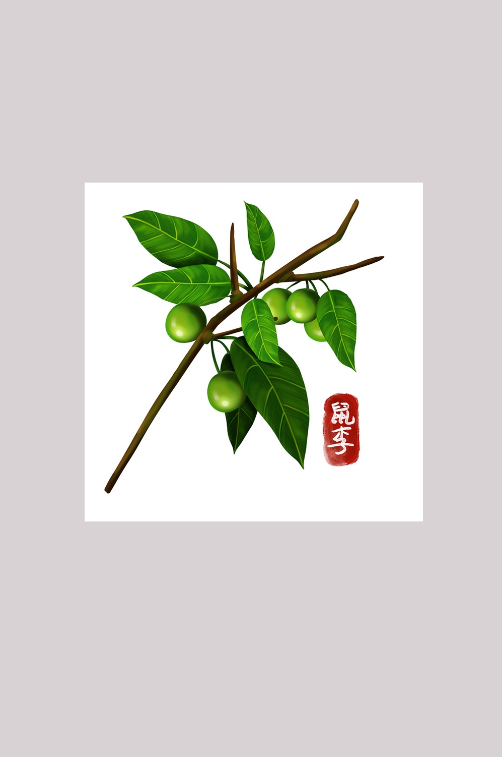 手绘百草植物免抠元素素材22