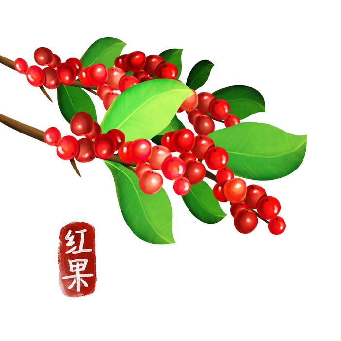 手绘百草植物免抠元素素材57