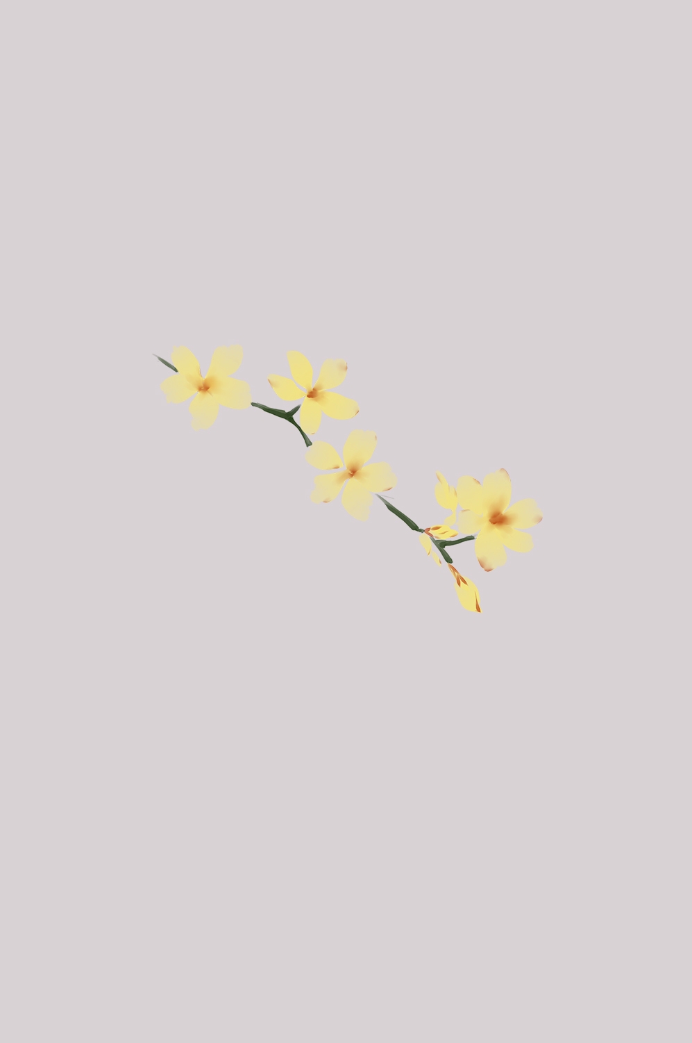 迎春花免抠元素34