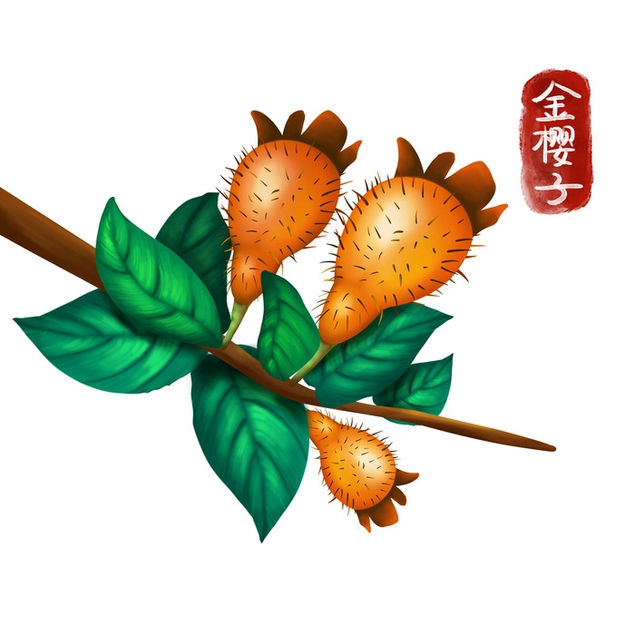 手绘百草植物免抠元素素材68