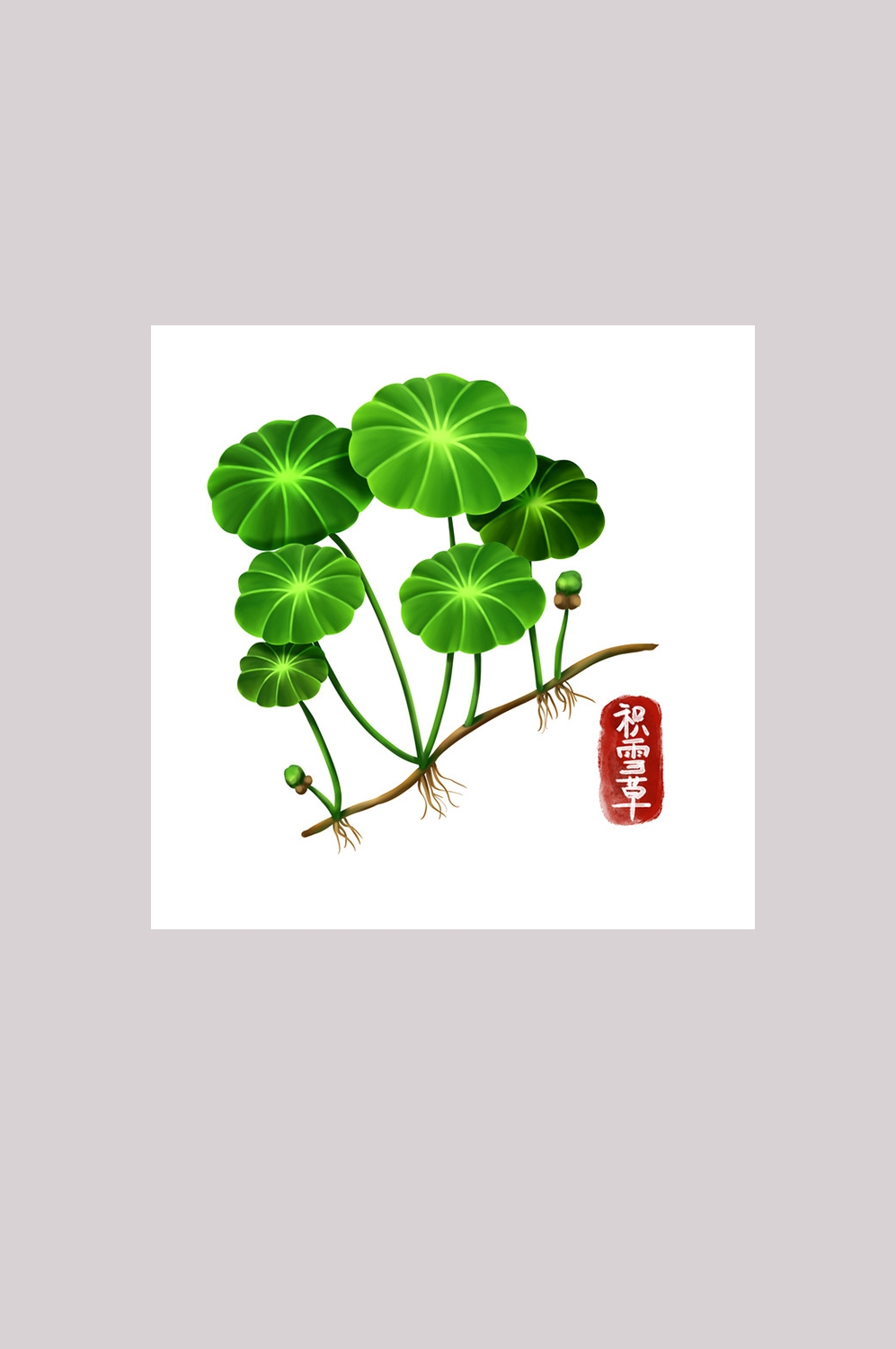 手绘百草植物免抠元素素材11