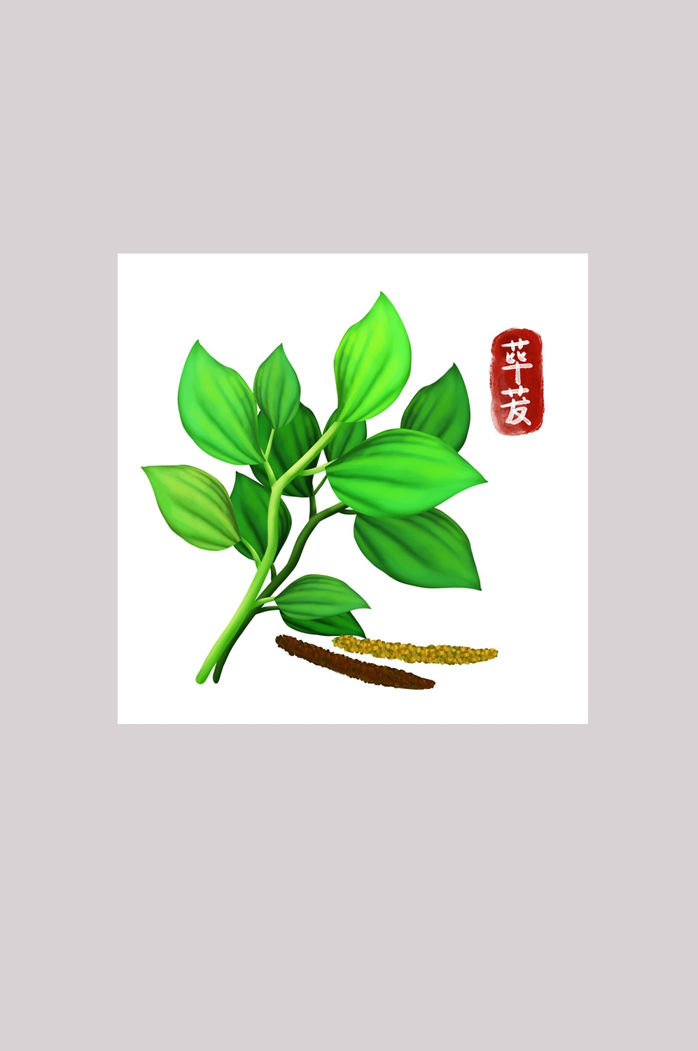 手绘百草植物免抠元素素材77