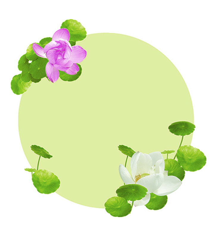 铜钱草盆栽免抠素材元素20