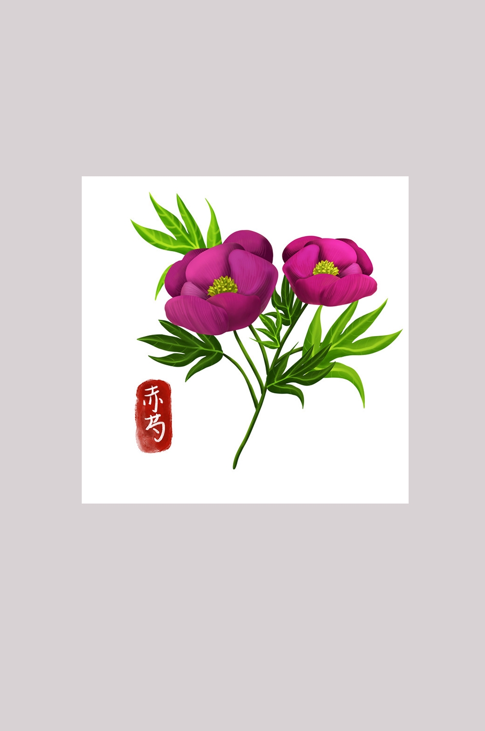 手绘百草植物免抠元素素材24