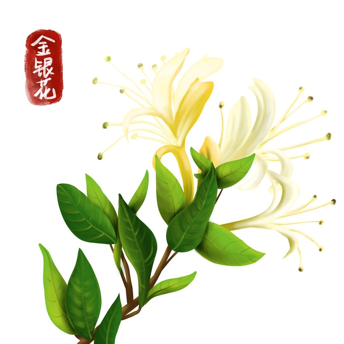 手绘百草植物免抠元素素材2