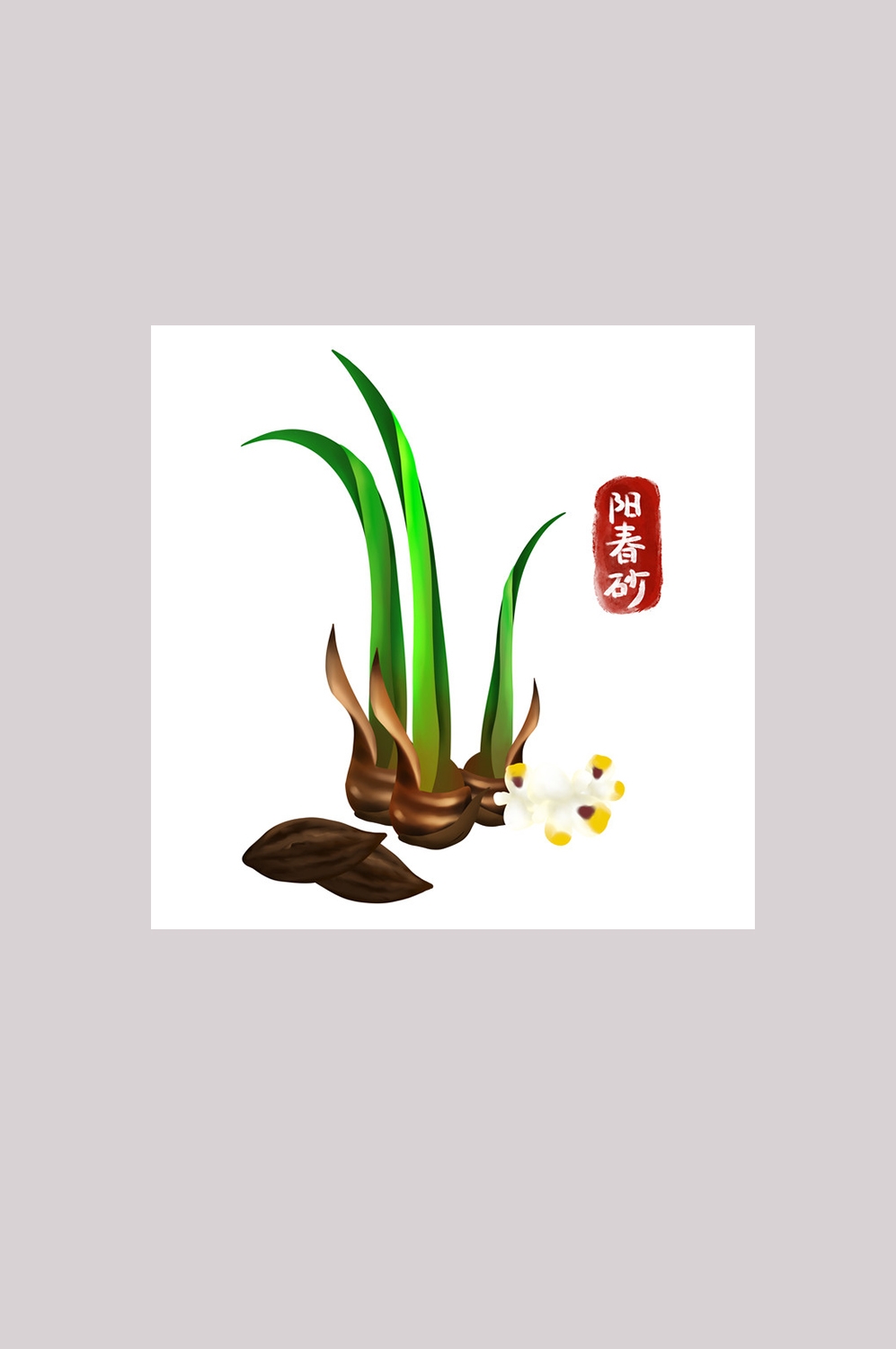 手绘百草植物免抠元素素材79