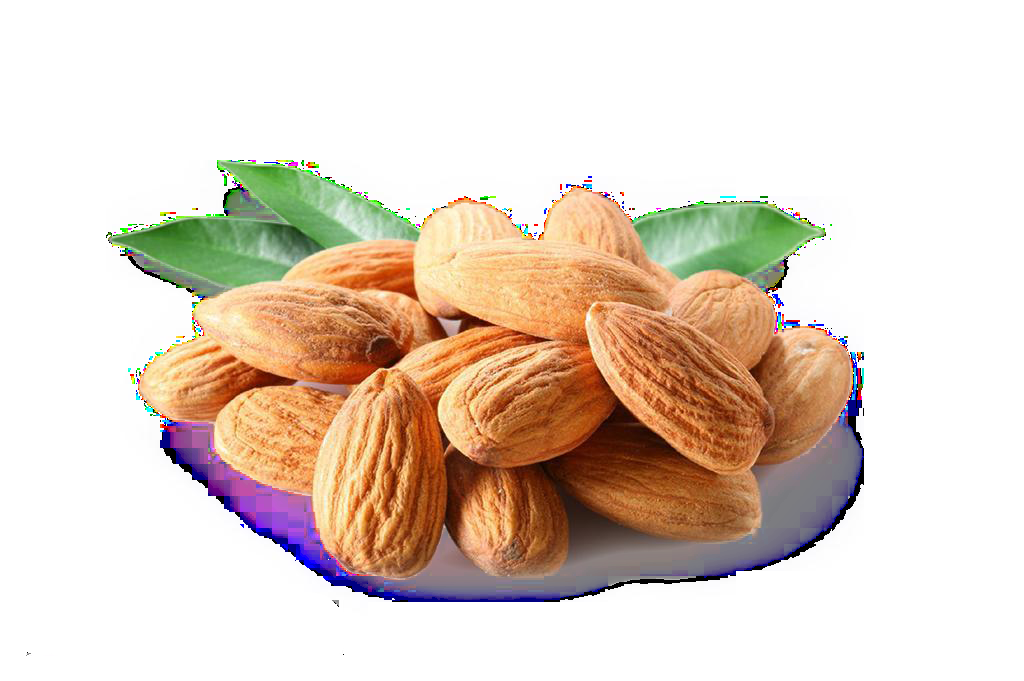 巴旦木杏仁免抠素材1