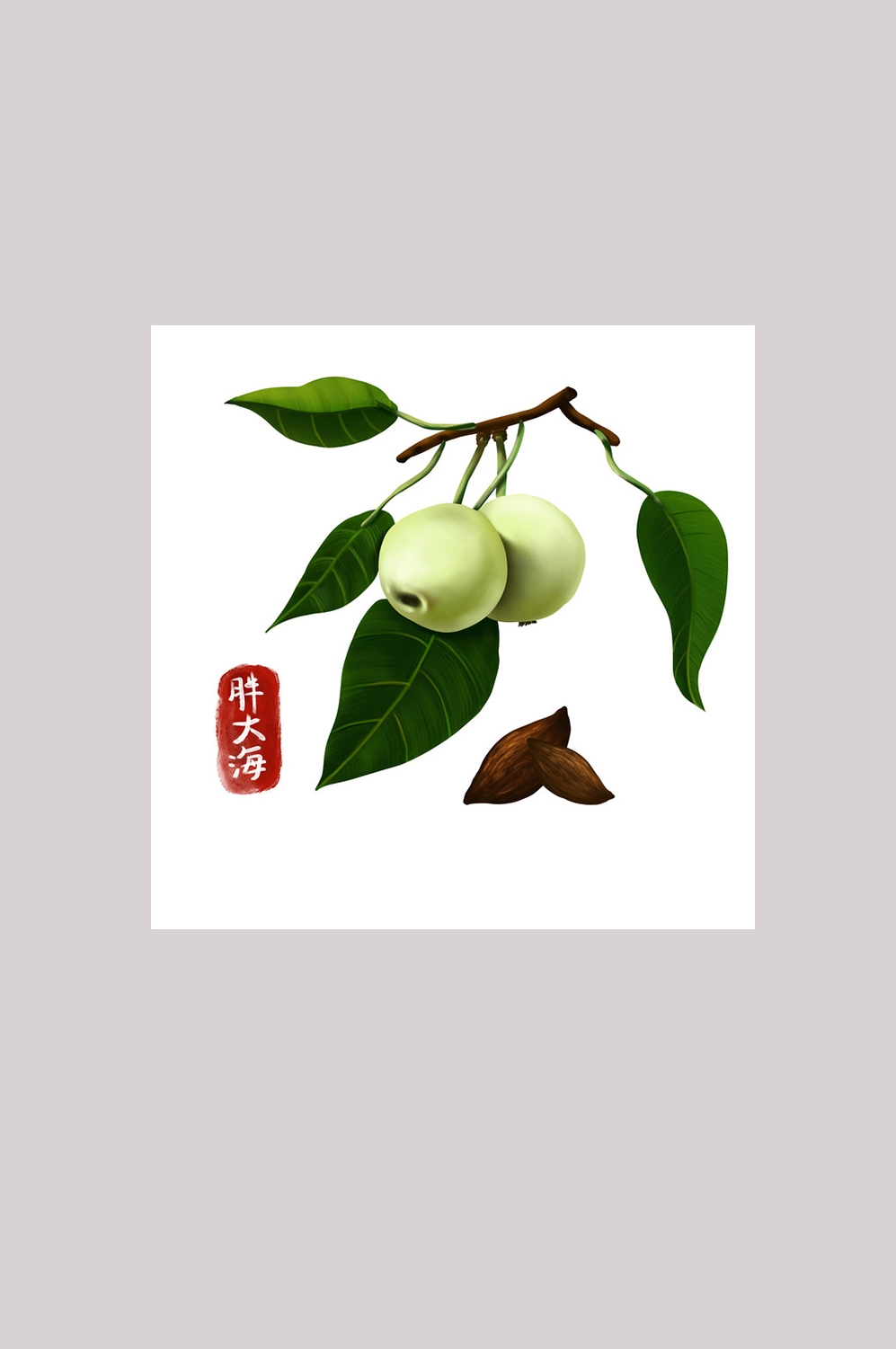 手绘百草植物免抠元素素材12