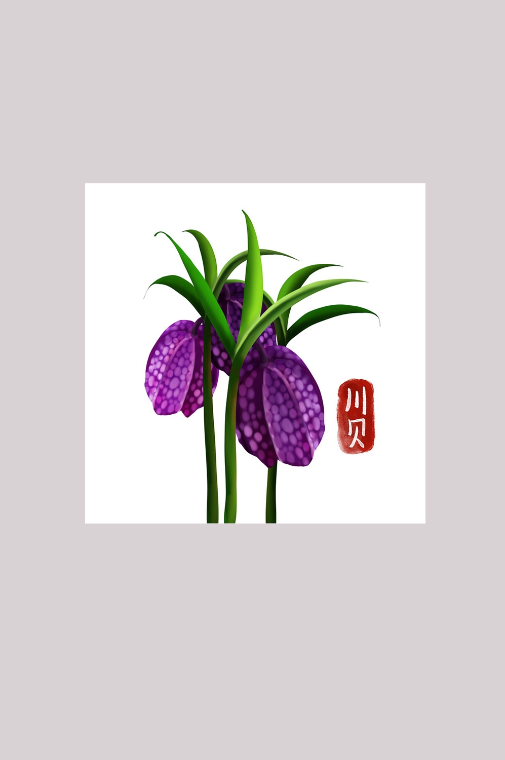 手绘百草植物免抠元素素材32