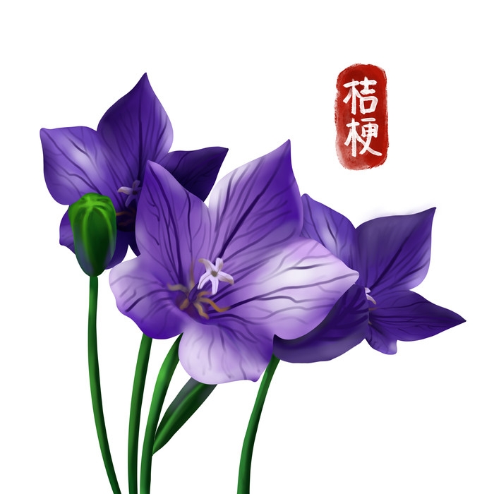 手绘百草植物免抠元素素材21
