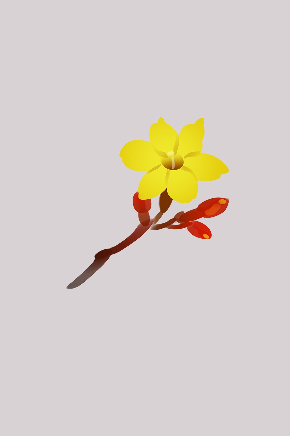 迎春花免抠元素16