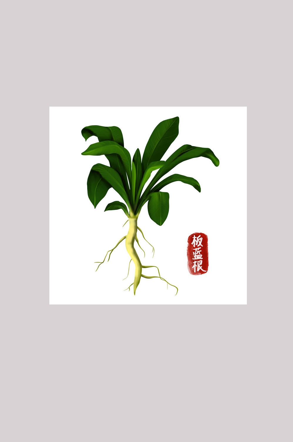 手绘百草植物免抠元素素材3