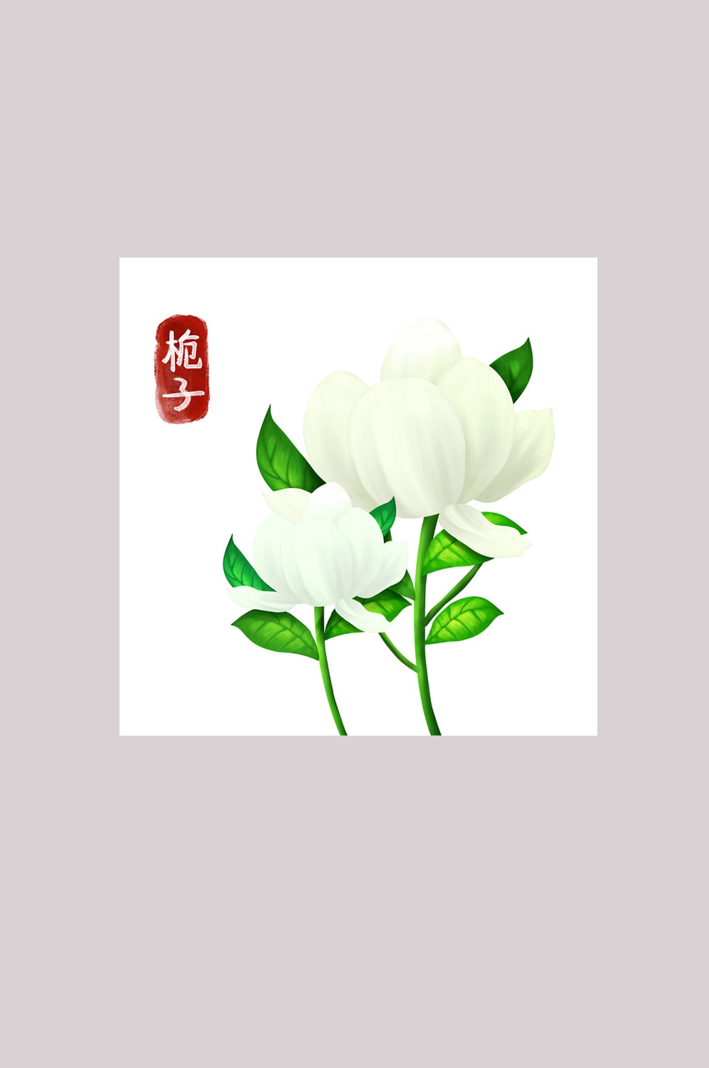手绘百草植物免抠元素素材82