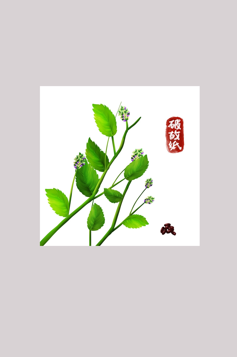 手绘百草植物免抠元素素材85