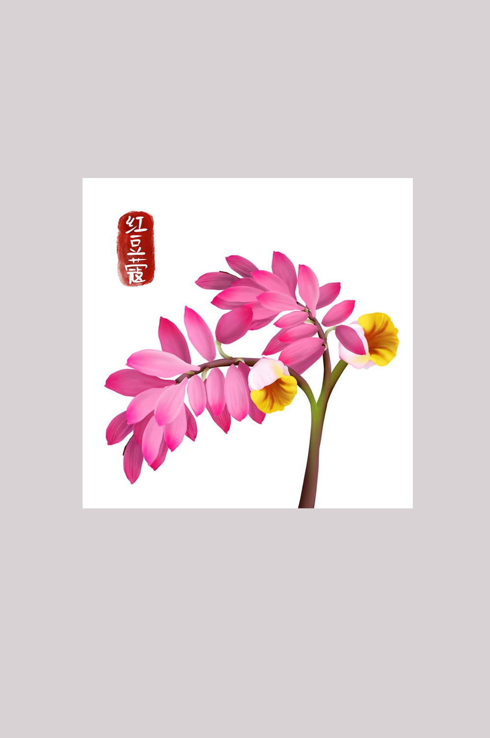 手绘百草植物免抠元素素材62
