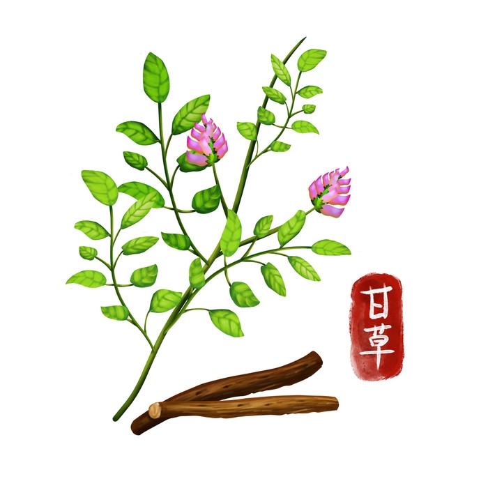 手绘百草植物免抠元素素材25