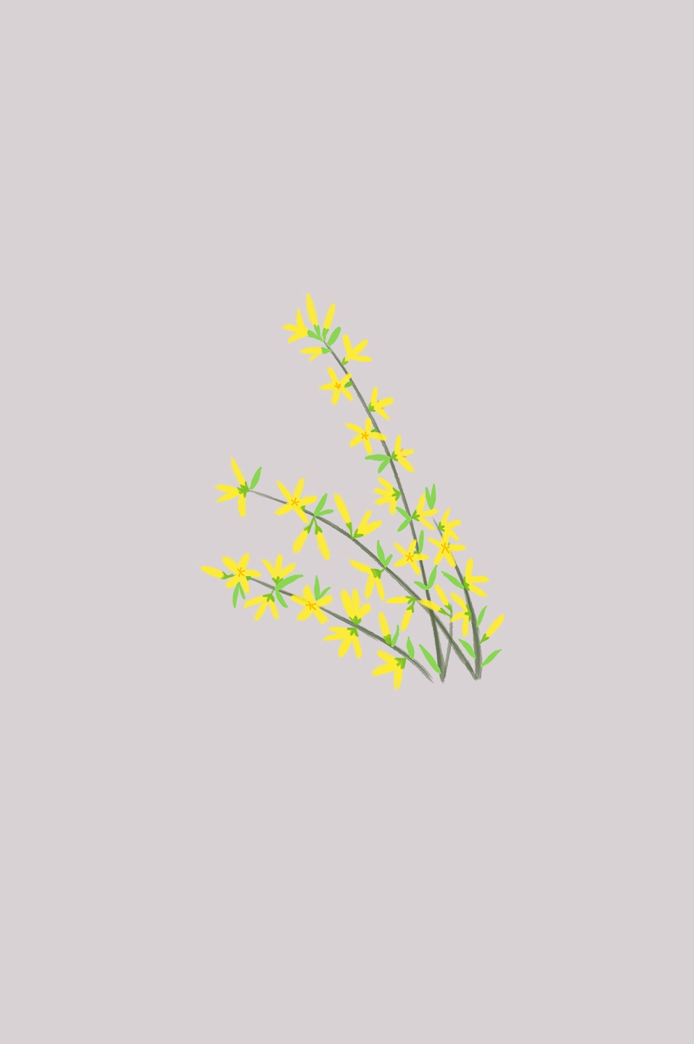 迎春花免抠元素12