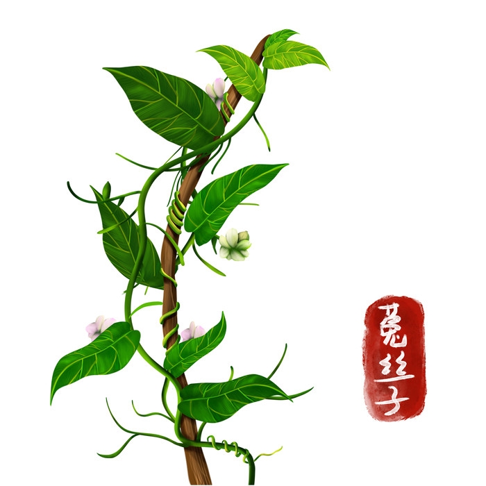 手绘百草植物免抠元素素材86