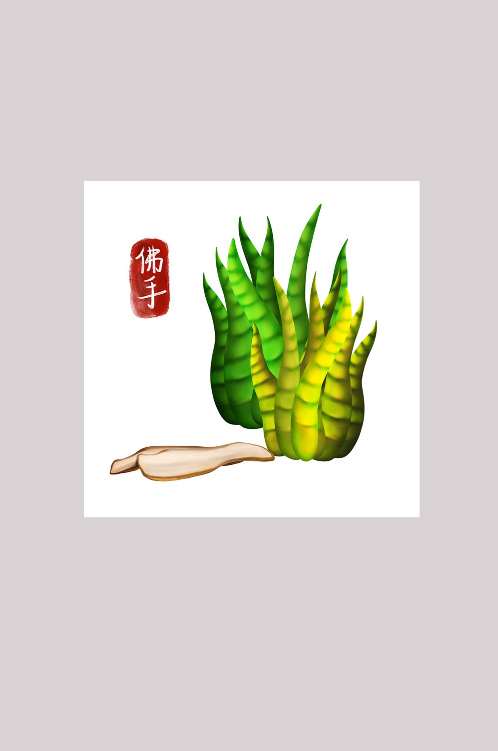 手绘百草植物免抠元素素材47