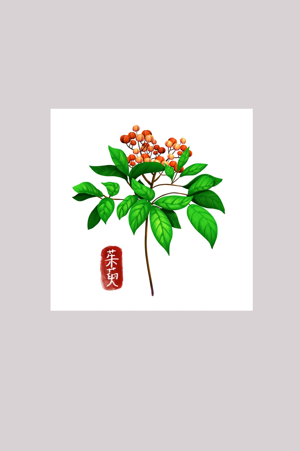手绘百草植物免抠元素素材50