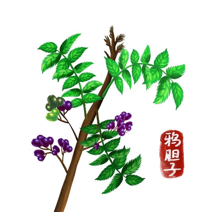 手绘百草植物免抠元素素材81