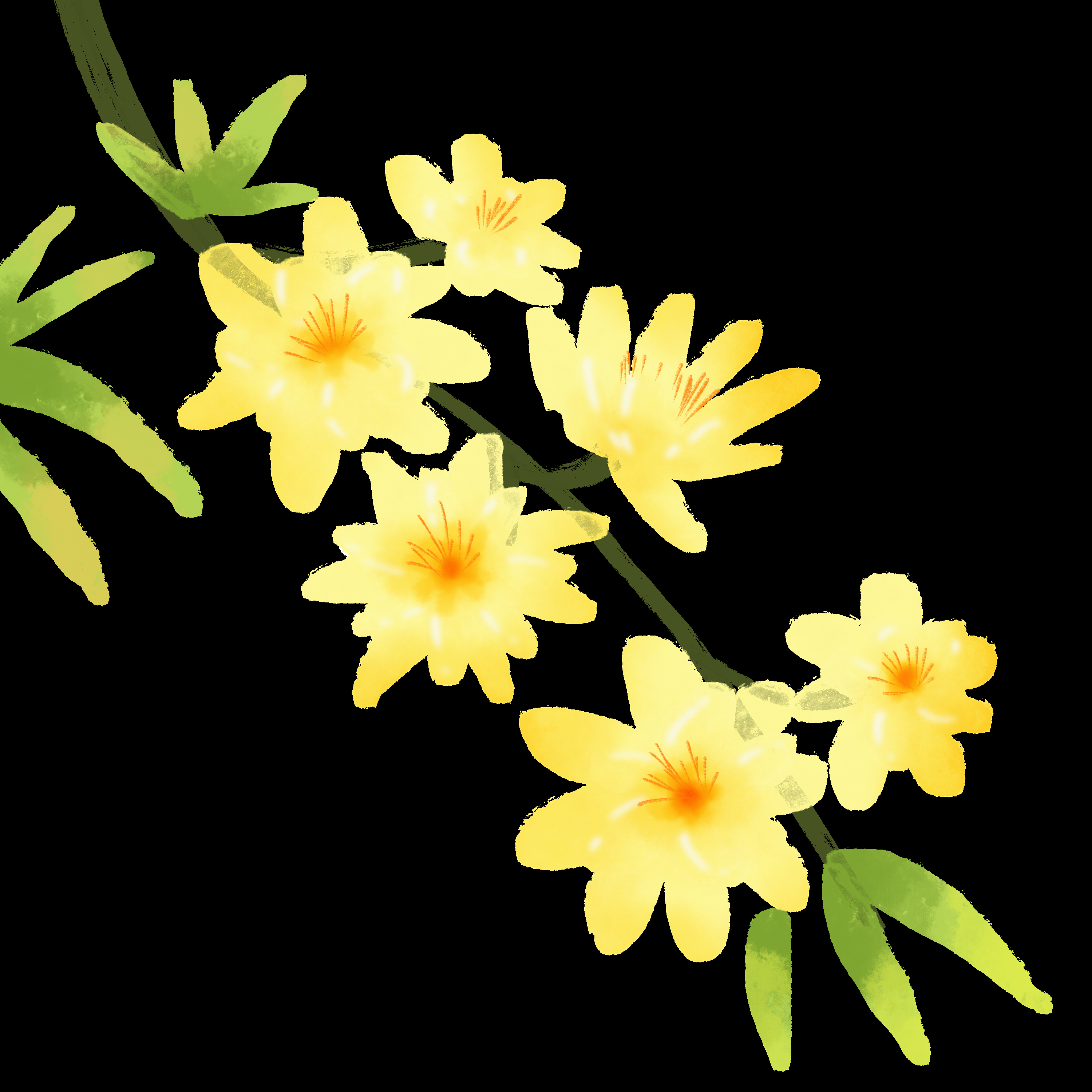 迎春花免抠元素24