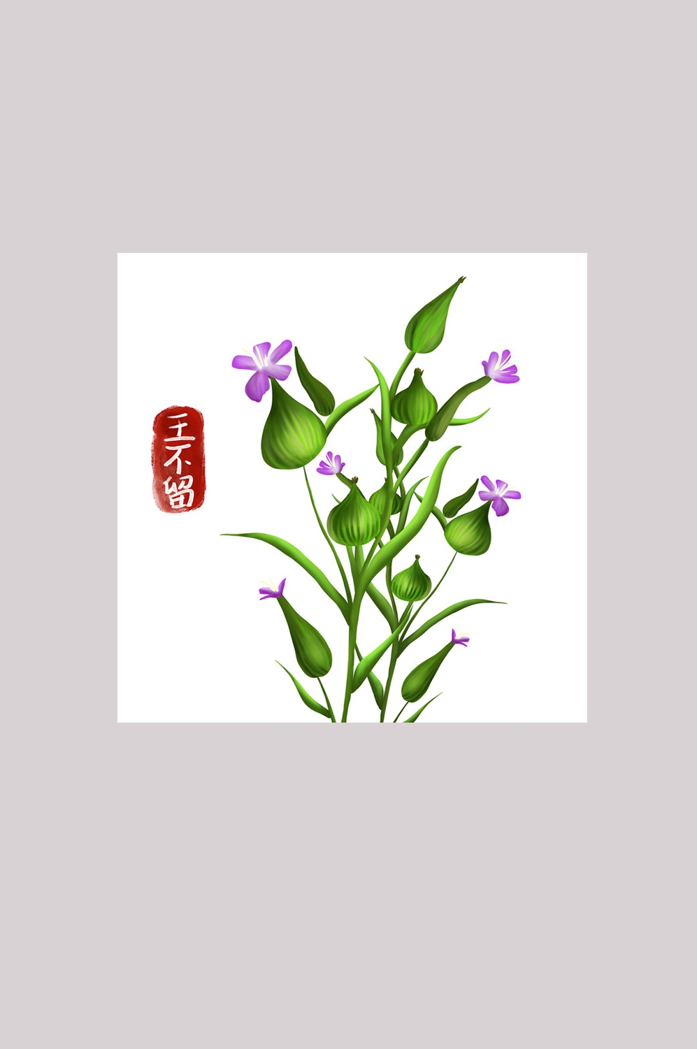 手绘百草植物免抠元素素材75