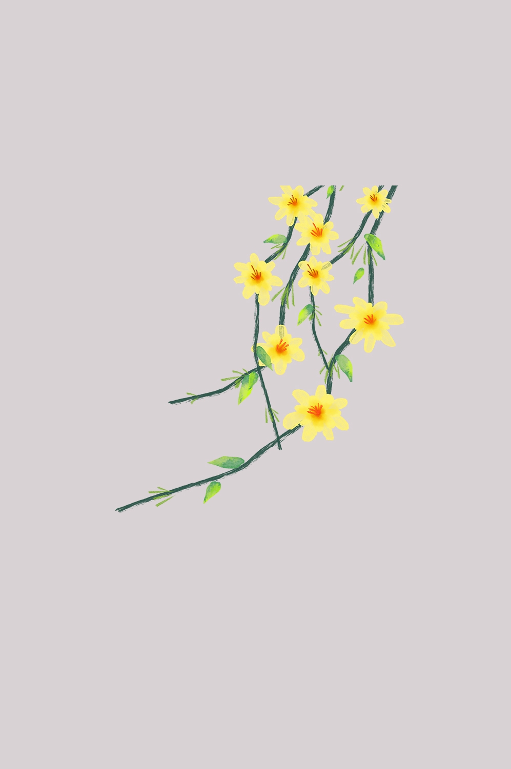 迎春花免抠元素5